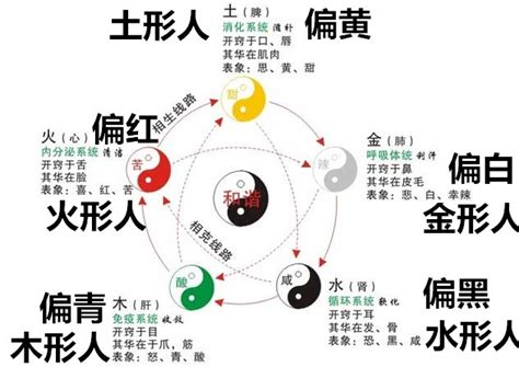 五行人面相|面相学——五行人